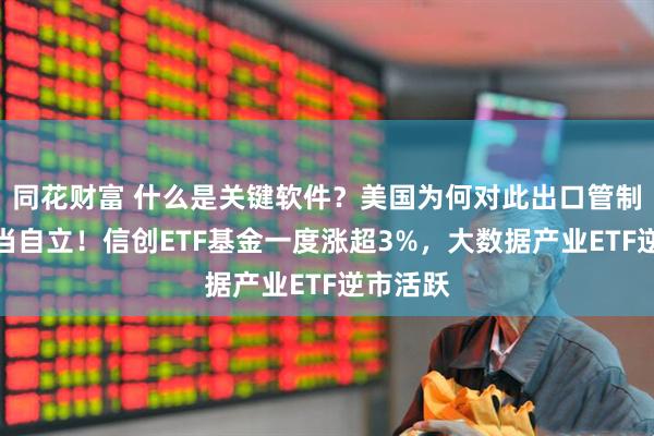 同花财富 什么是关键软件？美国为何对此出口管制？科技当自立！信创ETF基金一度涨超3%，大数据产业ETF逆市活跃