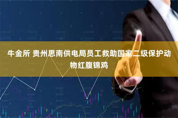 牛金所 贵州思南供电局员工救助国家二级保护动物红腹锦鸡
