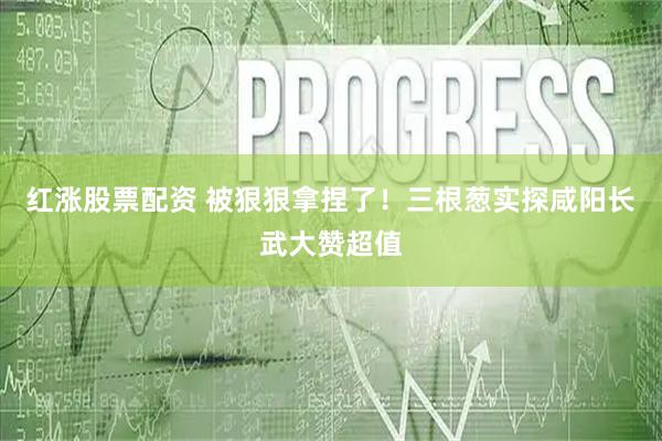 红涨股票配资 被狠狠拿捏了！三根葱实探咸阳长武大赞超值